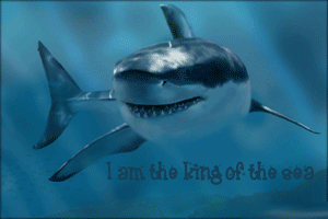 sticker_15993980_26430127