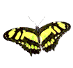 sticker_12985231_22100966
