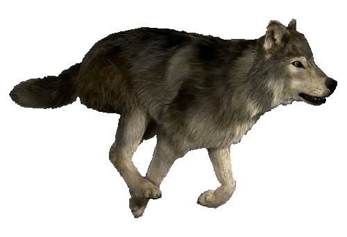 sticker_157600107_43
