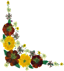 sticker_7054576_11504356
