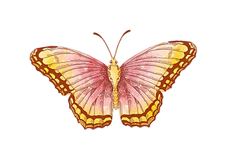 sticker_143950311_1480