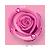 [stíc~kér_5692884_47506123]