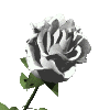 sticker_7259161_16699232