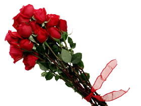adesivo_8435098_29928808
