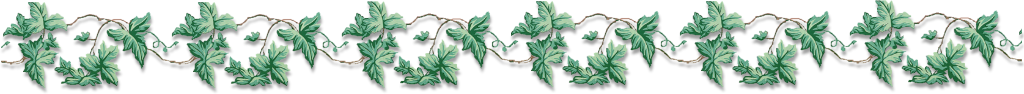 sticker_5567764_13227254
