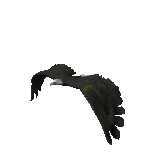sticker_3895052_4911385