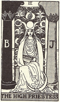 adesivo_155513466_2