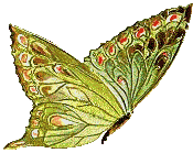 çıkartma _5683566_7961920