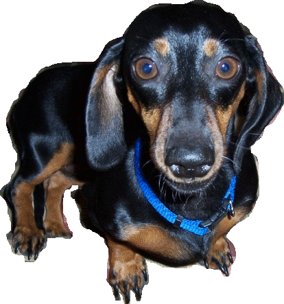 Sticker_3239472_17074978