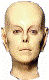 Sticker_3239472_17073397