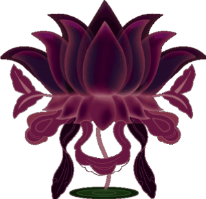 sticker_22127242_41188604