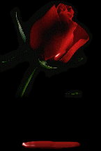 sticker_1873235_2369261