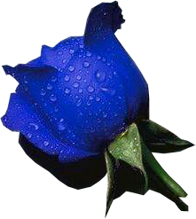sticker_29143914_46618453