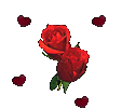 adesivo_12958012_32183875