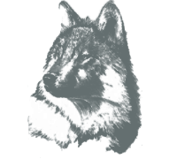 sticker_99837_1340425