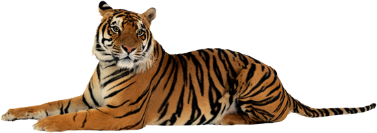 sticker_166703318_2