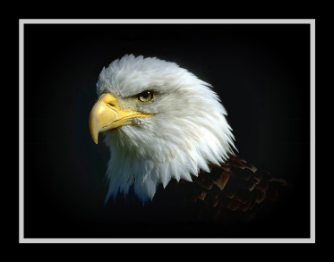 sticker_27592169_46085677