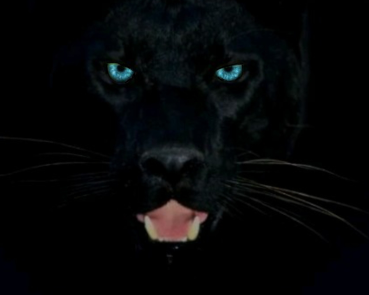 sticker_50616482_3278