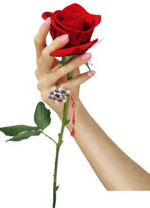 adesivo_61386485_20