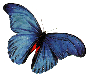 Sticker_249602_733273