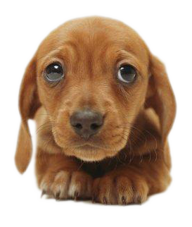 sticker_10776083_25326687