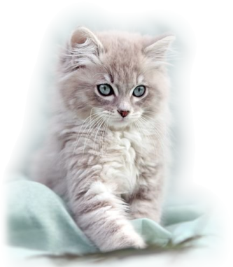 sticker_123819871_22
