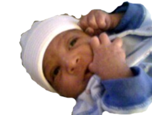 adesivo_29230451_42639529