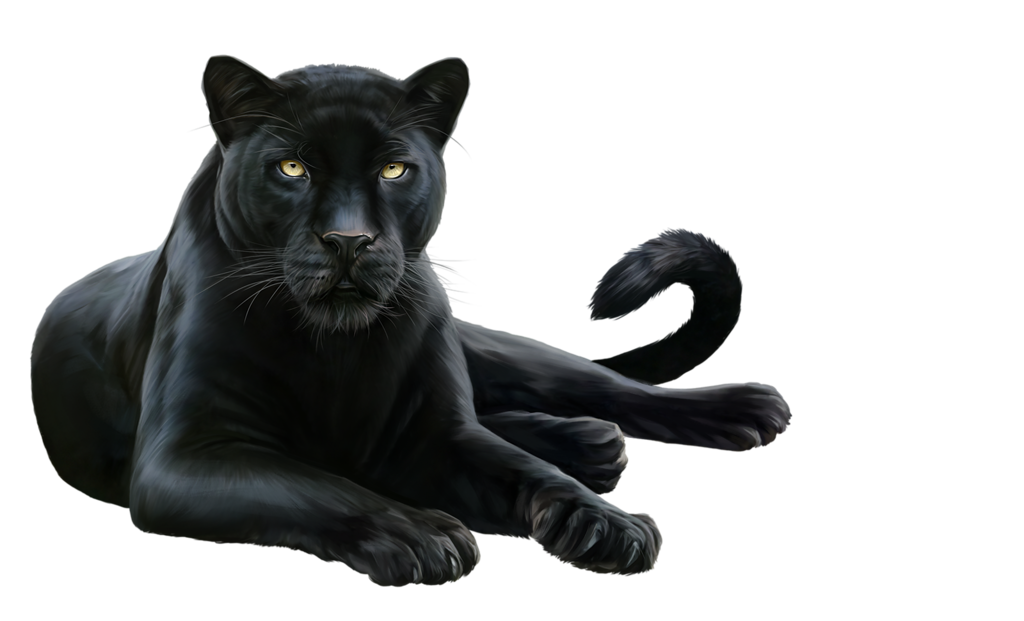 sticker_26018998_47466643