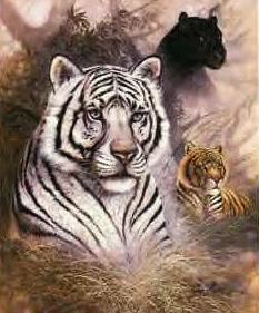 sticker_8050182_10355920