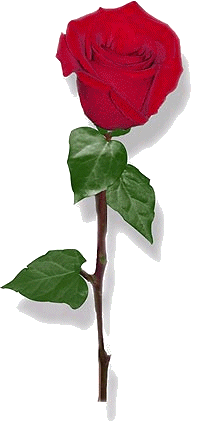 sticker_10166740_30911034