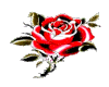 naklejka_140335525_54