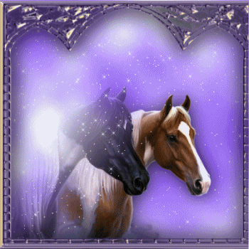 adesivo_7544626_31124252