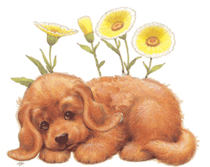 sticker_2915252_7119643