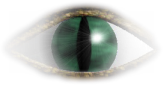 Sticker_11318667_15704172