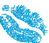 sticker_13747788_23281418