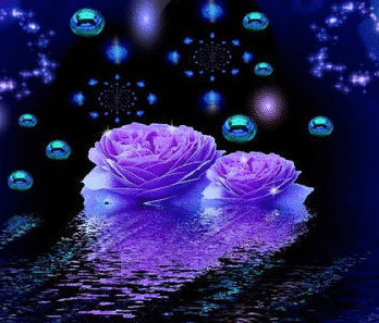 adesivo_21355322_31071872