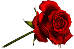 Etiqueta_180647251_49