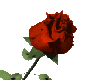 [stíc~kér_4641811_9331886]
