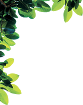 sticker_37313338_15