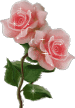 sticker_6127627_12096365