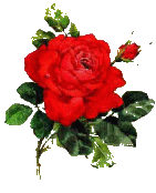 sticker_6266428_36516578