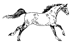 naklejka_16090936_23628944