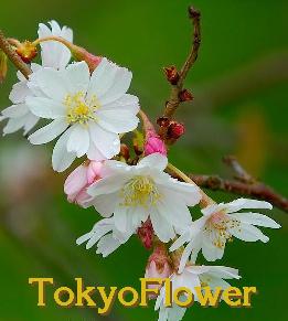 sticker_10260450_13971580