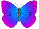 Etiqueta_173625521_8