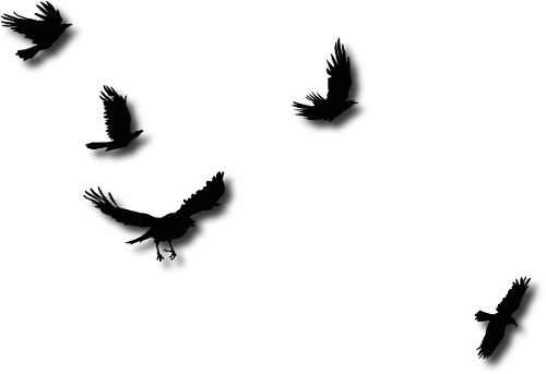 sticker_22003486_34843701