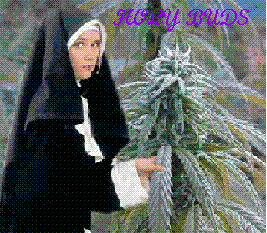 sticker_2822485_5320321