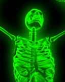 adesivo_305204060_32