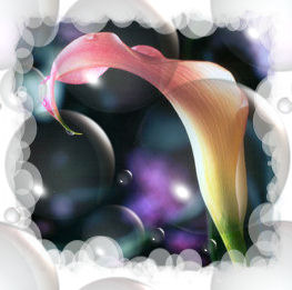 sticker_8949197_16217876