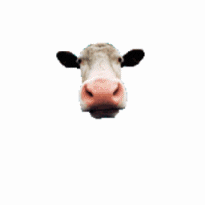sticker_25984169_37499394