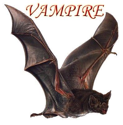 sticker_122619132_14